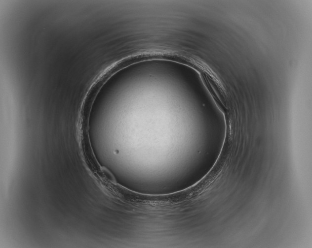 X0000116310436200912071311