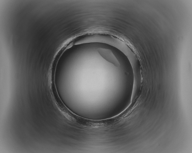 X0000116310438200912071311