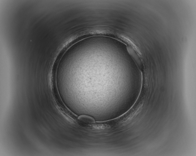 X0000116310439200912071312