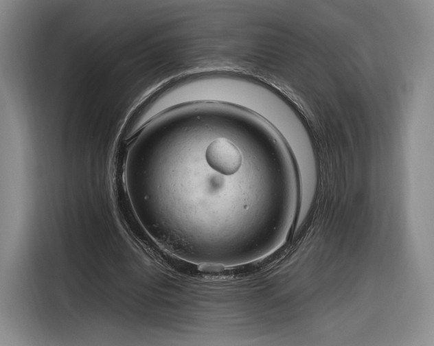 X0000116310440200912071312