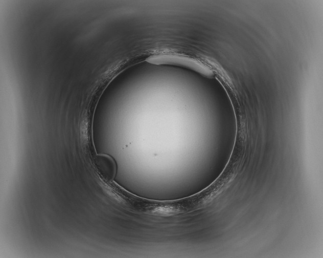 X0000116310441200912071312