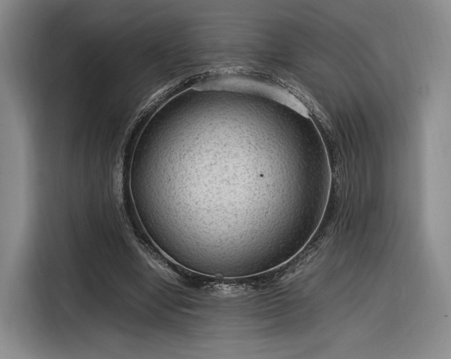 X0000116310442200912071312