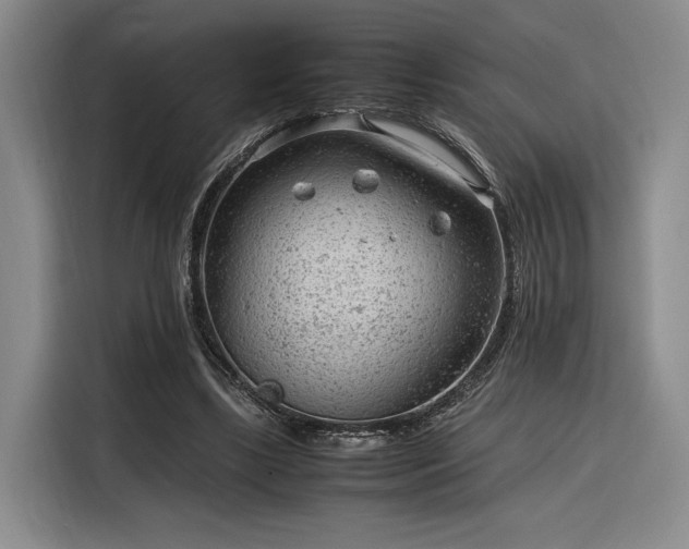 X0000116310443200912071312