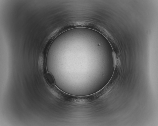 X0000116310444200912071312