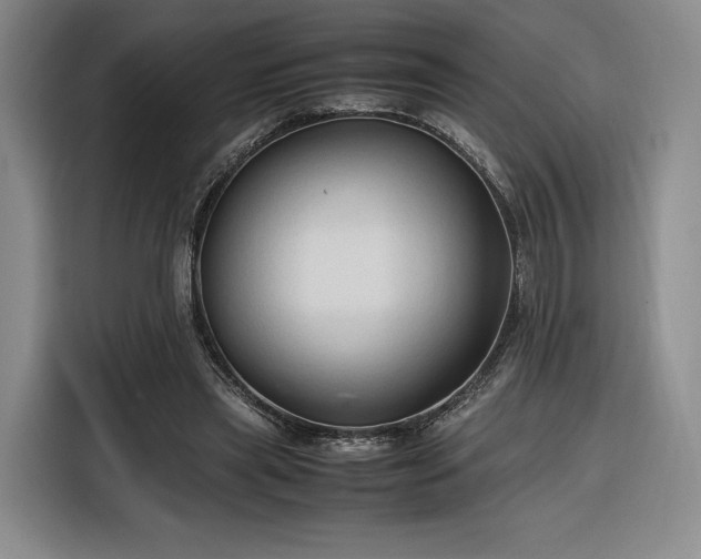 X0000116310445200912071312