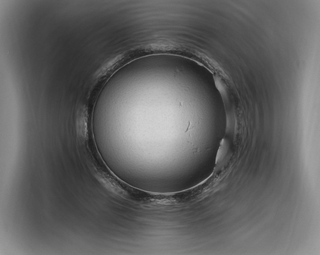 X0000116310446200912071312