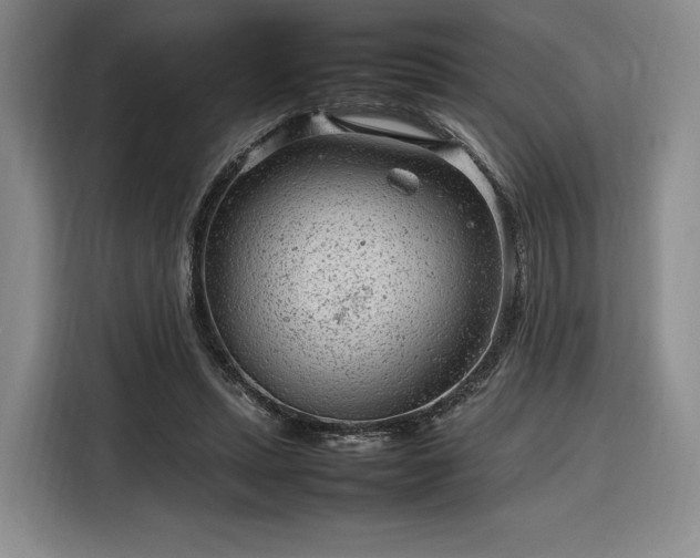 X0000116310447200912071312