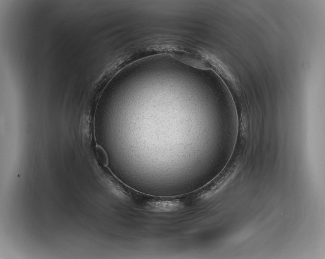 X0000116310449200912071312