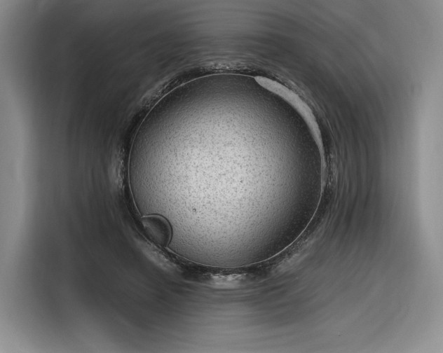 X0000116310450200912071312