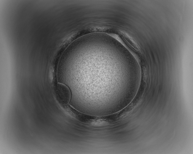 X0000116310451200912071312