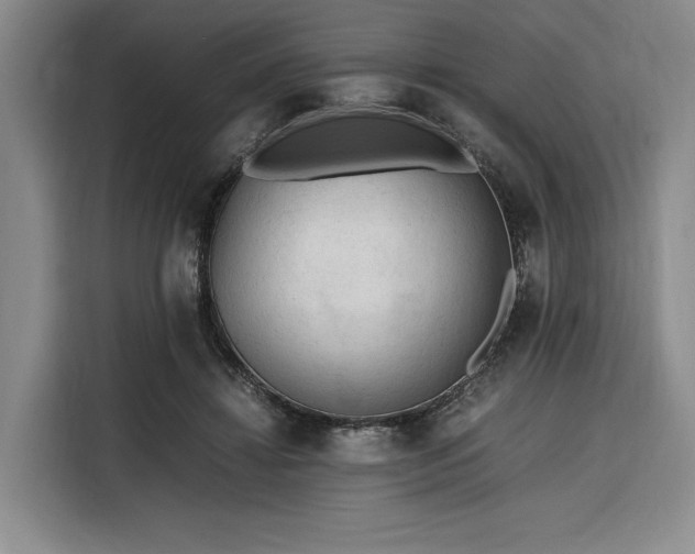 X0000116310452200912071312