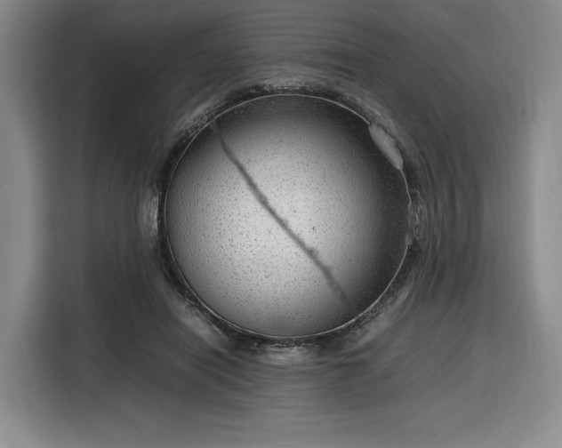 X0000116310454200912071312