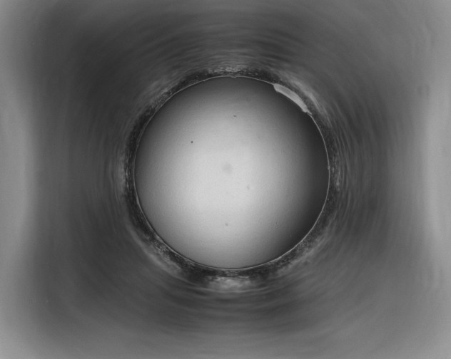 X0000116310455200912071312