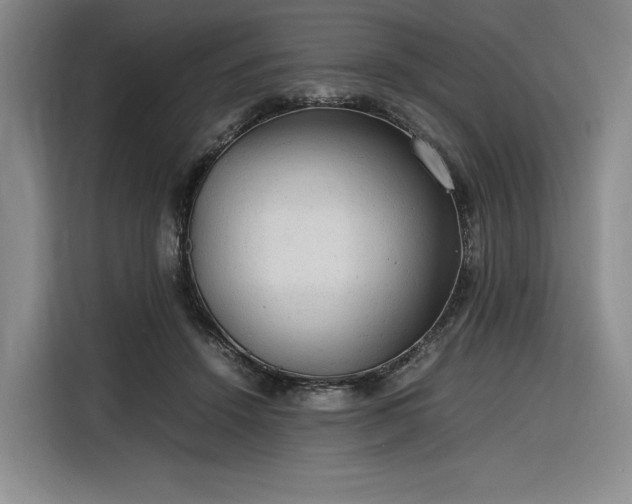 X0000116310456200912071312