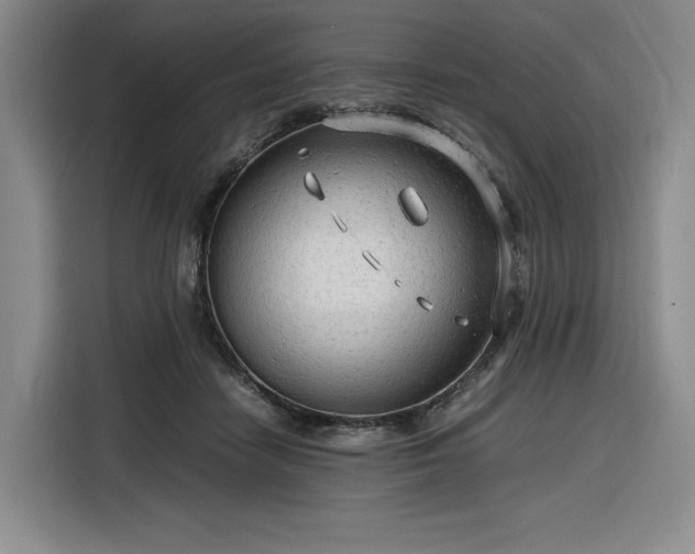 X0000116310458200912071312