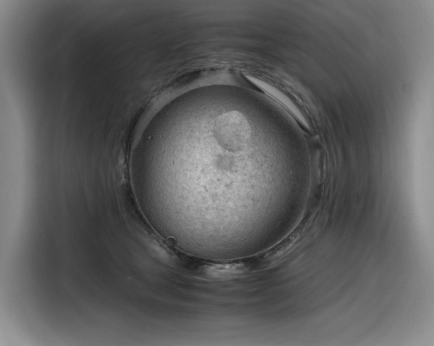 X0000116310465200912071312