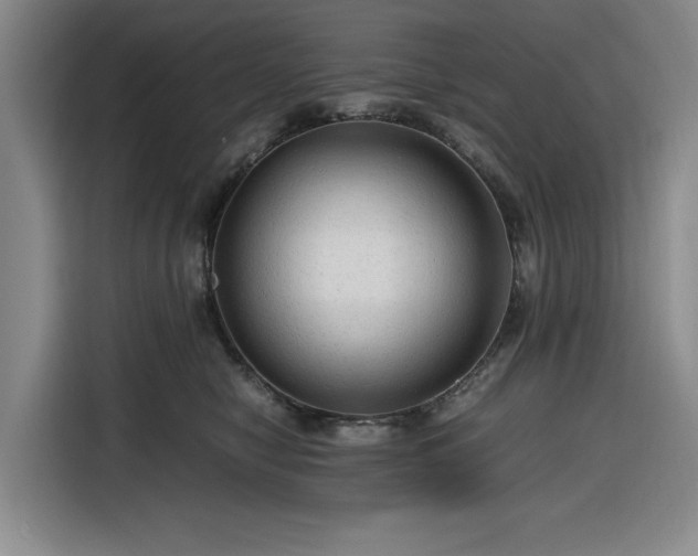 X0000116310470200912071312