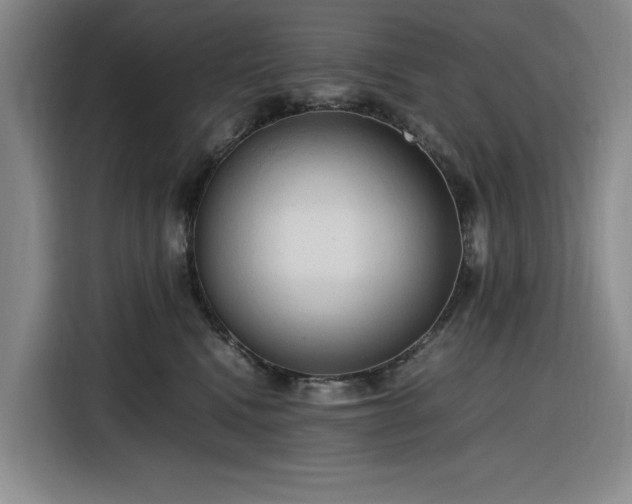 X0000116310472200912071312