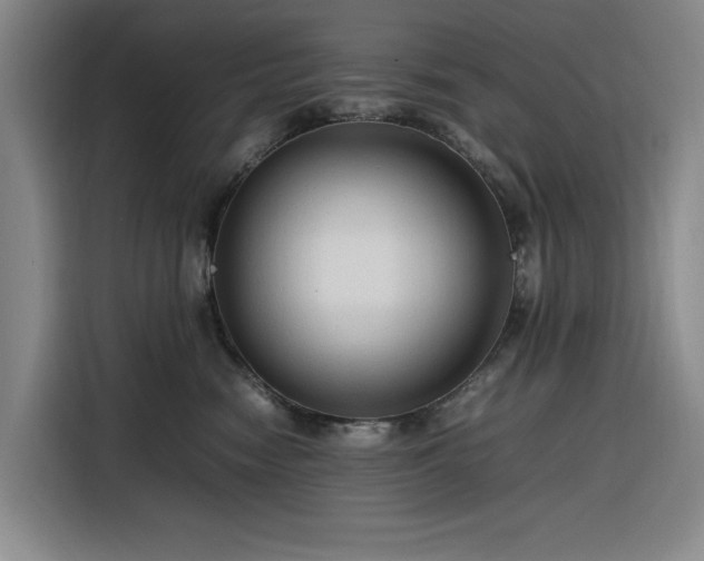 X0000116310474200912071312