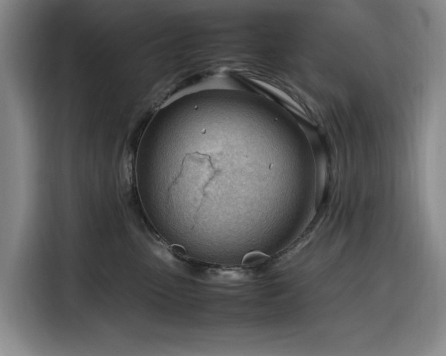 X0000116310475200912071312