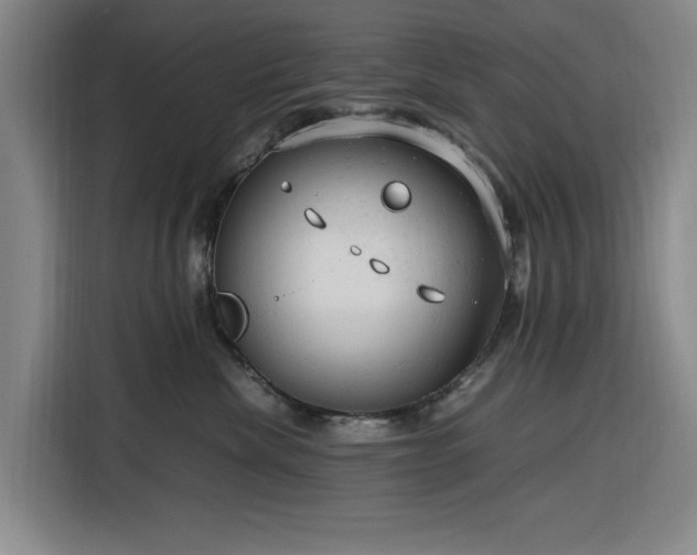 X0000116310476200912071312