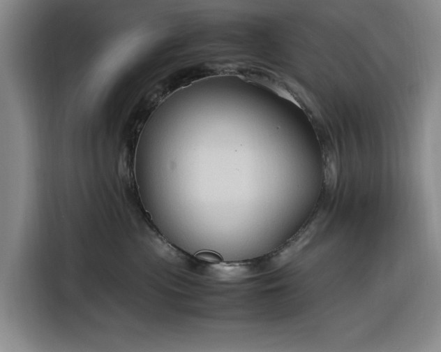 X0000116310477200912071312