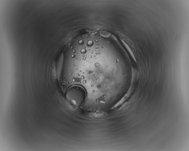 X0000116310479200912071312