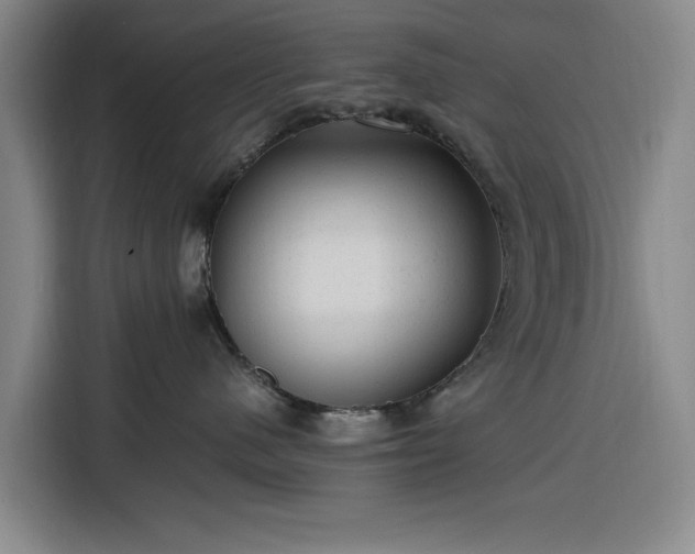 X0000116310480200912071312