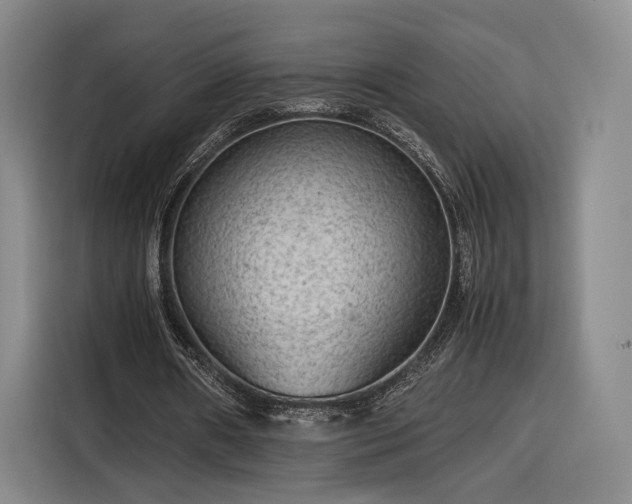 X0000116310482200912071311