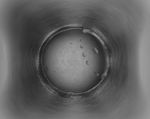 X0000116310484200912071311