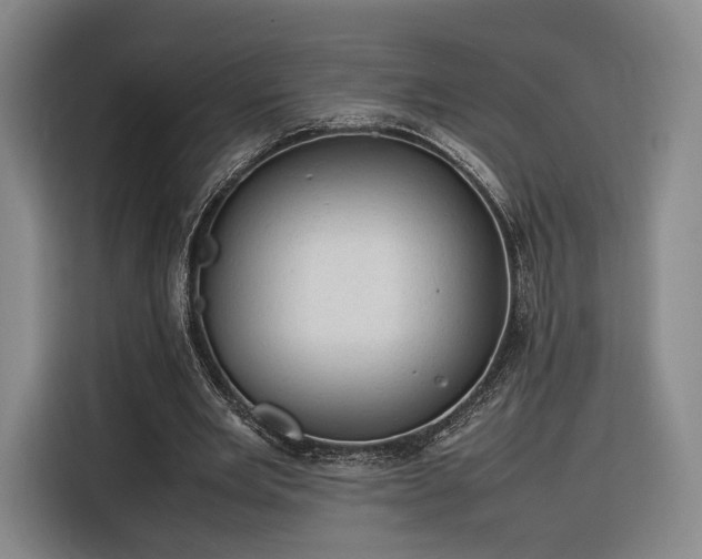 X0000116310485200912071311