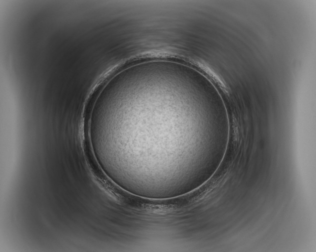 X0000116310486200912071311