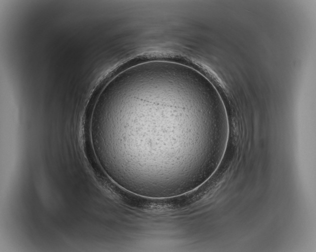 X0000116310487200912071311