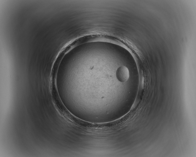 X0000116310488200912071311