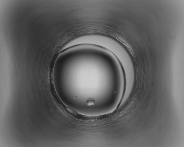 X0000116310489200912071311