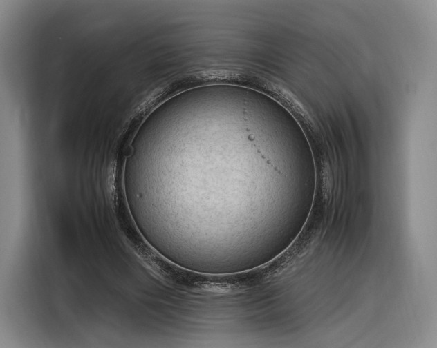 X0000116310490200912071311