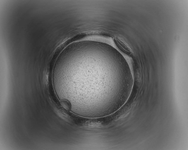 X0000116310491200912071311