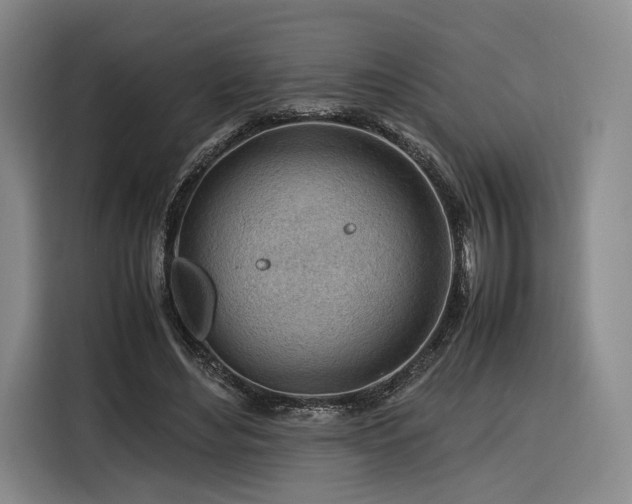 X0000116310492200912071311