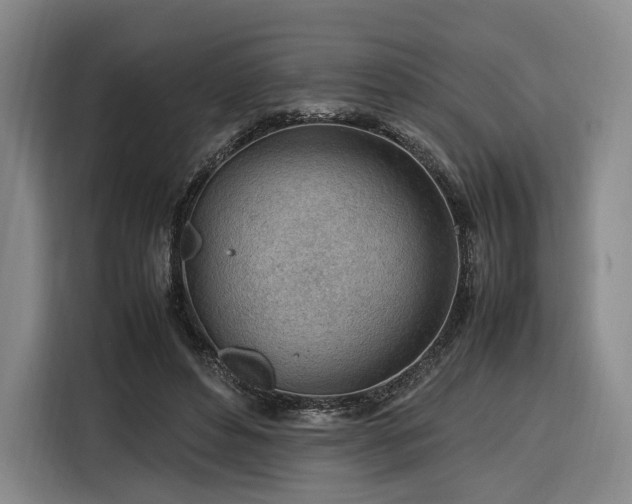 X0000116310496200912071311