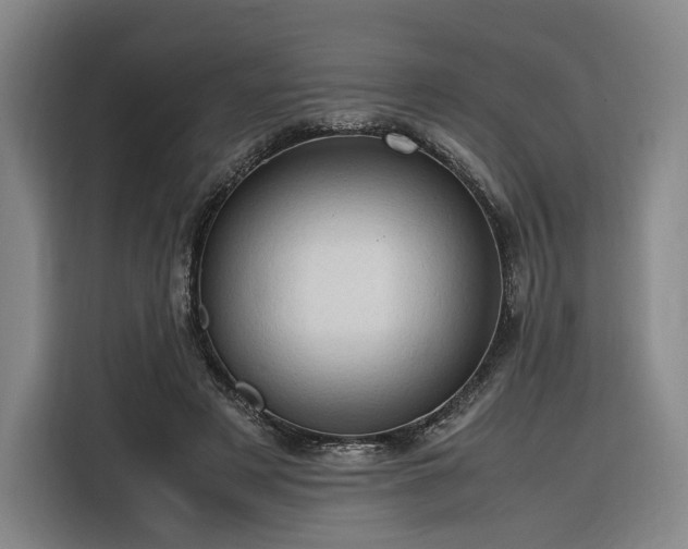 X0000116310497200912071311