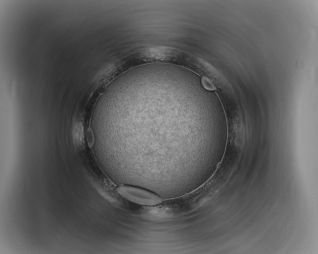 X0000116310500200912071311