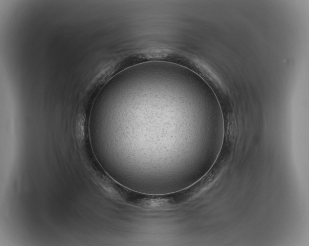 X0000116310501200912071311