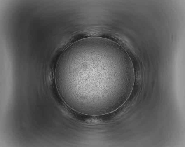 X0000116310503200912071311