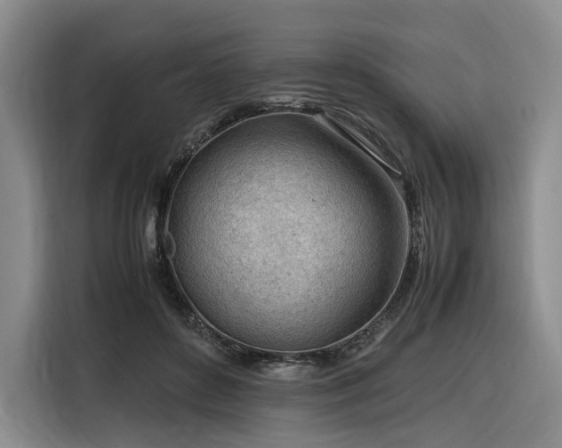 X0000116310504200912071311