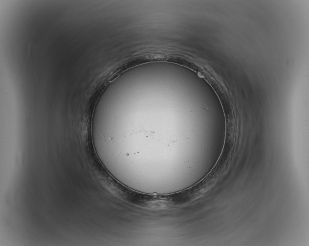 X0000116310505200912071311