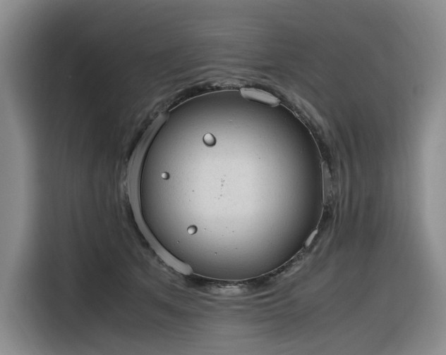 X0000116310513200912071311