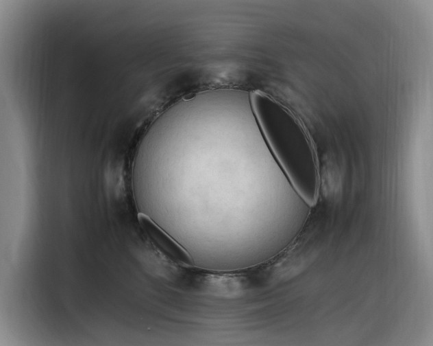 X0000116310520200912071311