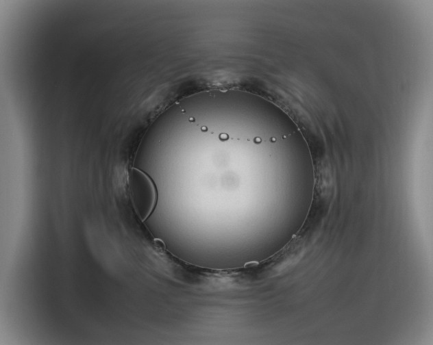 X0000116310523200912071311