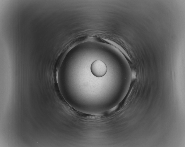 X0000116310524200912071311