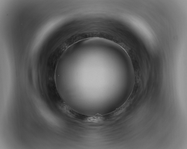 X0000116310526200912071311